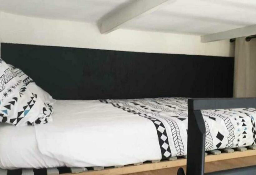 Les Palmiers   Studio Cosy Proche Plages Et Centre