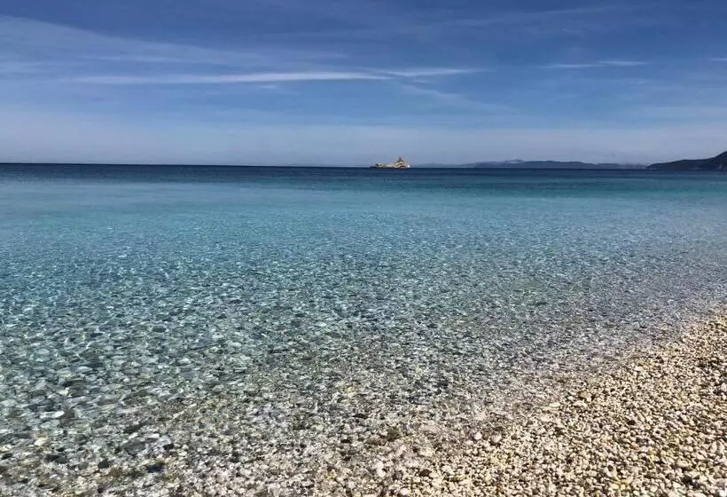 ベッドアンドブレックファースト Bed And Coffee Rooms Portoferraio