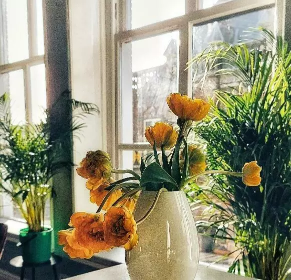 Elf Bed And Breakfast