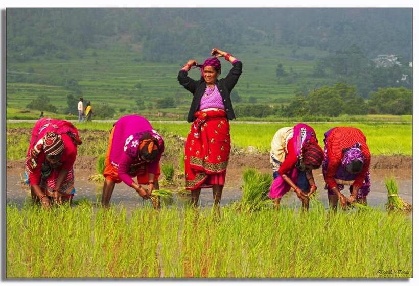 호텔 The Frostwood Resort