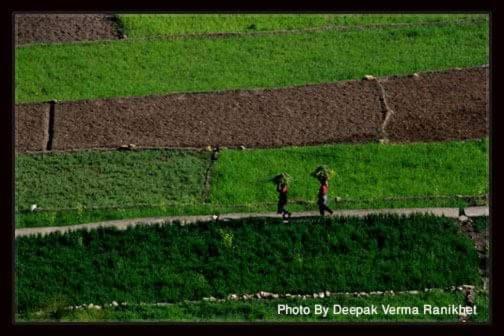 호텔 The Frostwood Resort