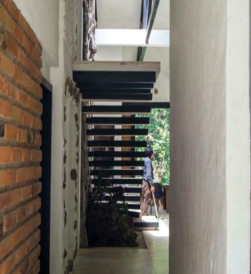 צימר Neblina Bird