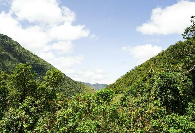 צימר Neblina Bird