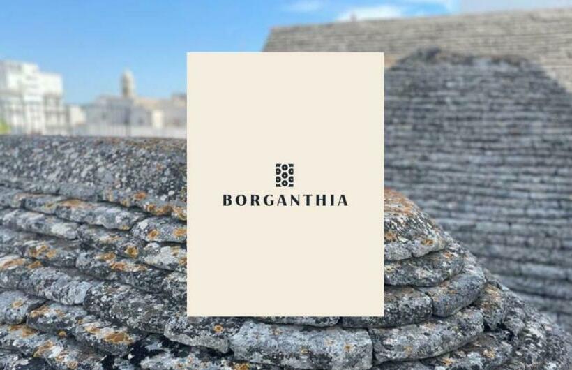 پانسیون Borganthia