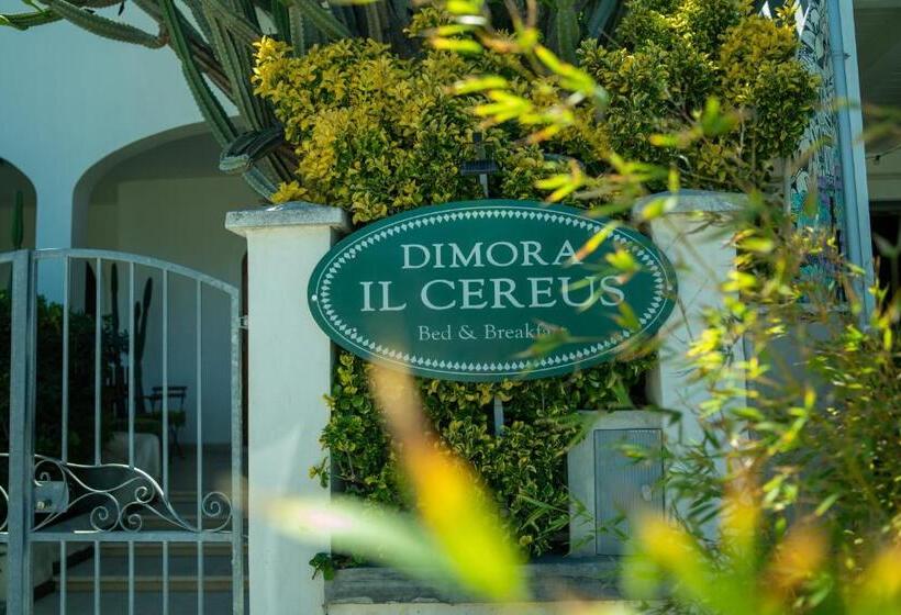 פנסיון Dimora Il Cereus