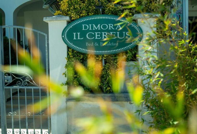 פנסיון Dimora Il Cereus