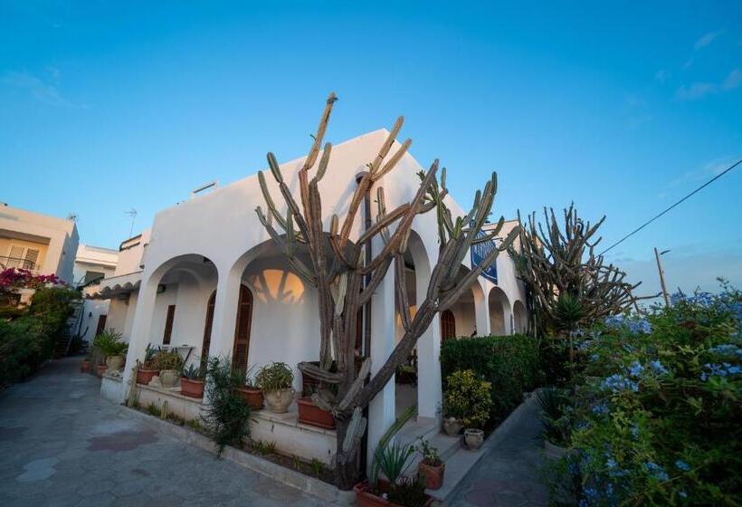 פנסיון Dimora Il Cereus