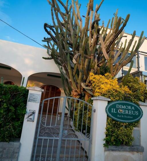 פנסיון Dimora Il Cereus