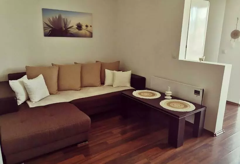 Nice & Economic Studio