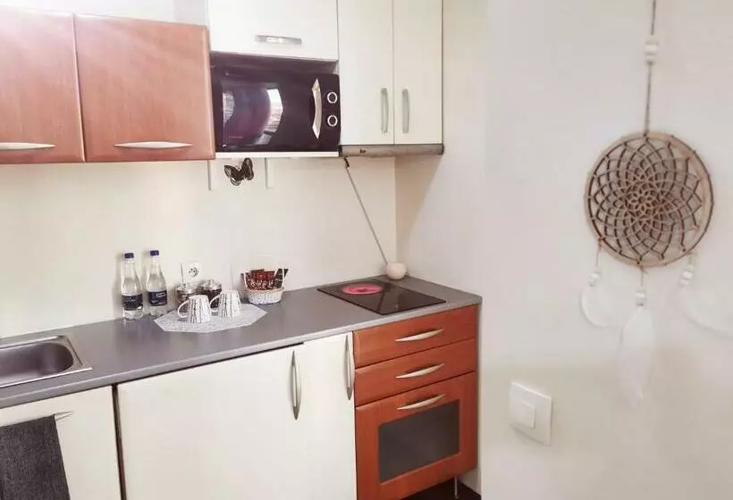 Nice & Economic Studio