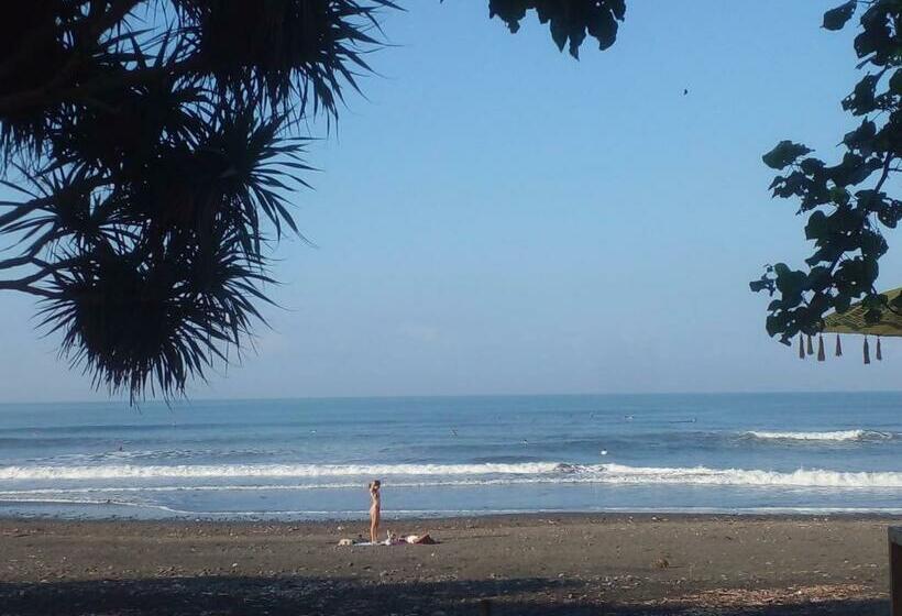 膳宿费 Medewi Good Vibes Surf&stay