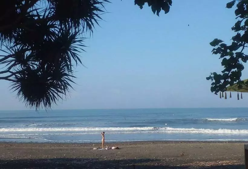 ペンション Medewi Good Vibes Surf&stay