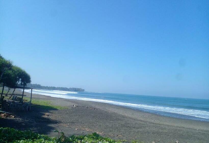 膳宿费 Medewi Good Vibes Surf&stay