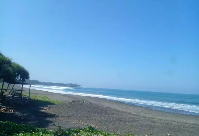 ペンション Medewi Good Vibes Surf&stay