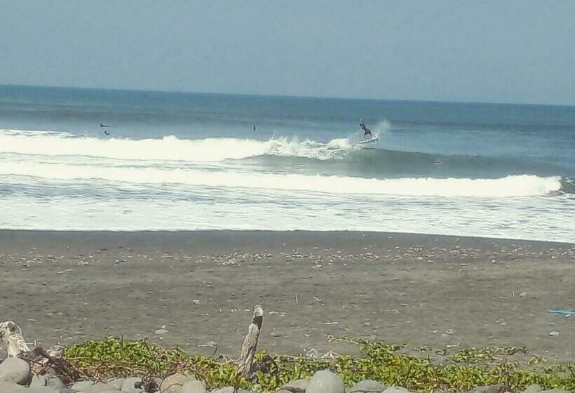 膳宿费 Medewi Good Vibes Surf&stay