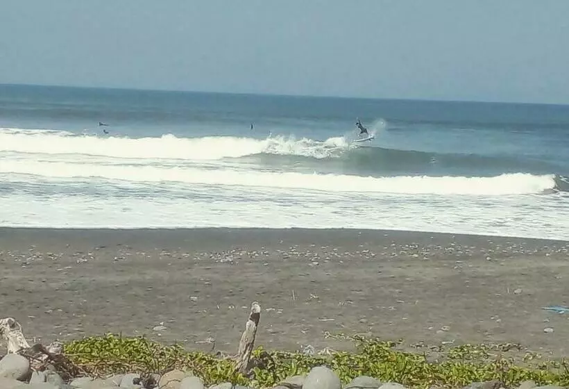 ペンション Medewi Good Vibes Surf&stay