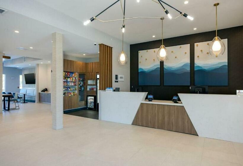 酒店 Towneplace Suites By Marriott Canton Riverstone Parkway