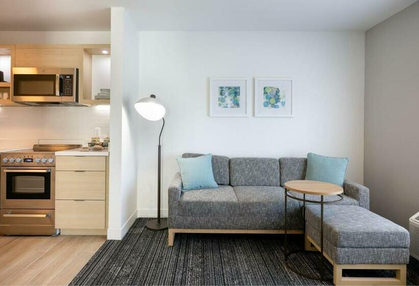 酒店 Towneplace Suites By Marriott Canton Riverstone Parkway