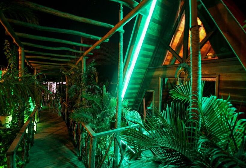 پانسیون Villa éden