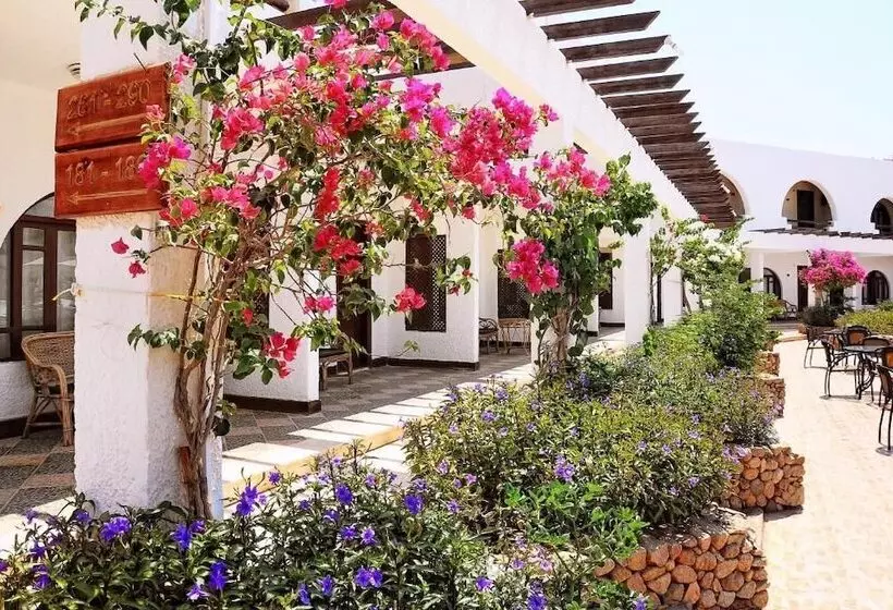 Aida Hotel Sharm El Sheikh