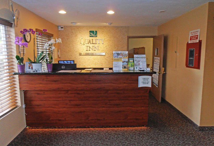 酒店 Aloha Inn & Suites