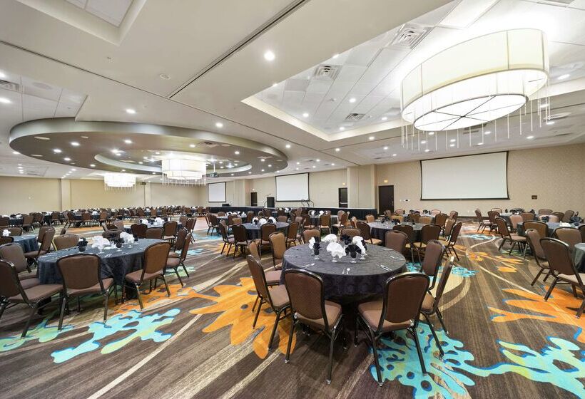 酒店 Hilton Garden Inn Lawton Fort Sill