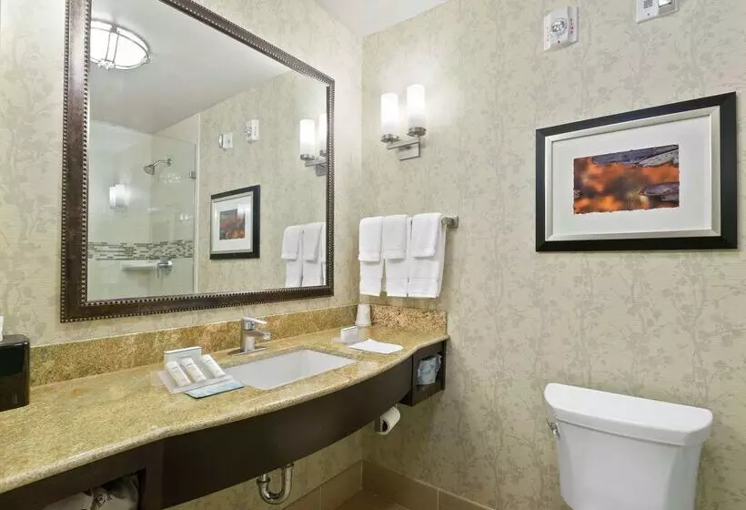 Szálloda Hilton Garden Inn Lawton Fort Sill