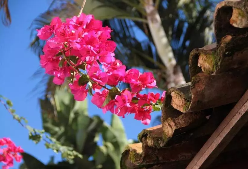 Отель Pousada Do Cais