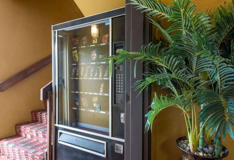 فندق Rodeway Inn