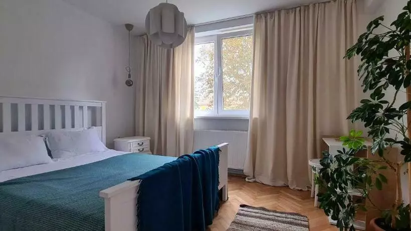 Ioana Apartment Resita