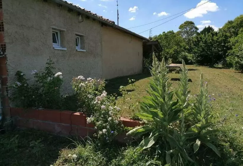 La Contesse