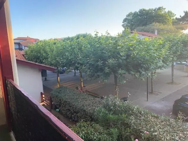 Le Green Center, 2 Pièces En Hyper Centre