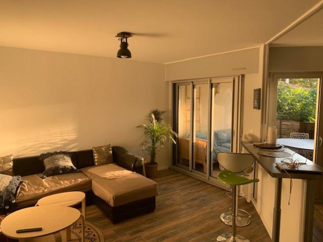 Le Green Center, 2 Pièces En Hyper Centre