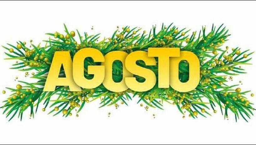 Agosto @aansav Verde Fatrade Varca Goa 3 Br Villa