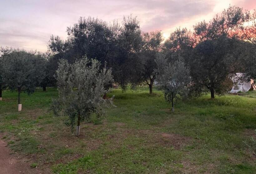 פנסיון Camera Graziosa