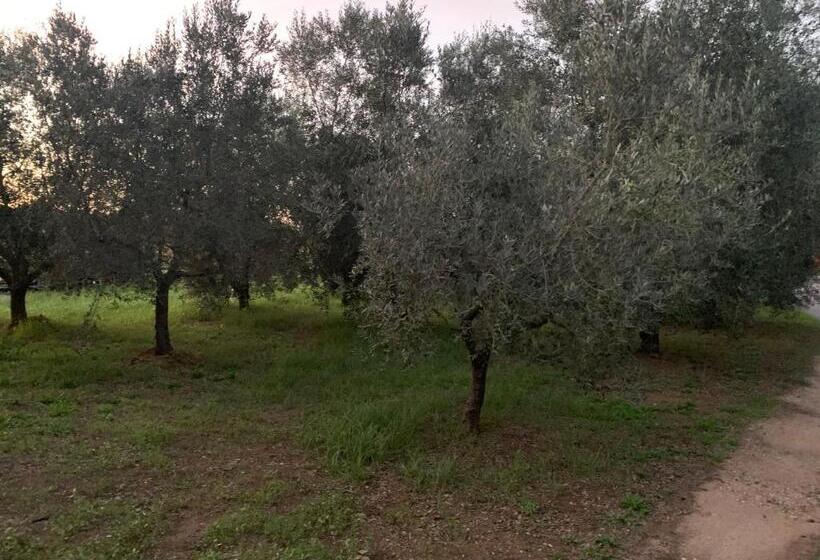 פנסיון Camera Graziosa