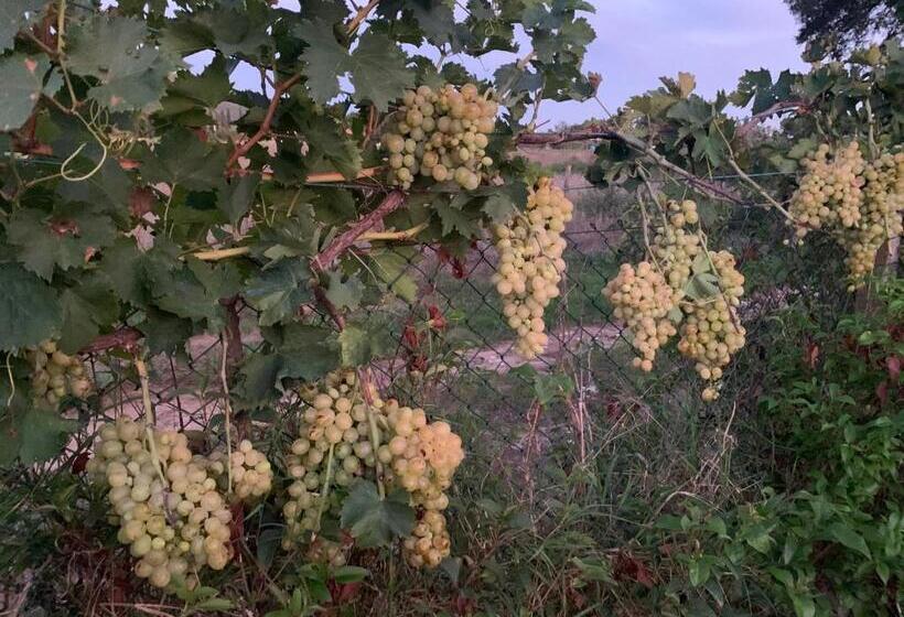 פנסיון Camera Graziosa