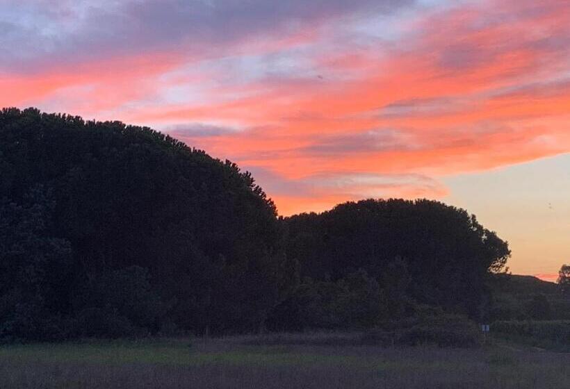 פנסיון Camera Graziosa