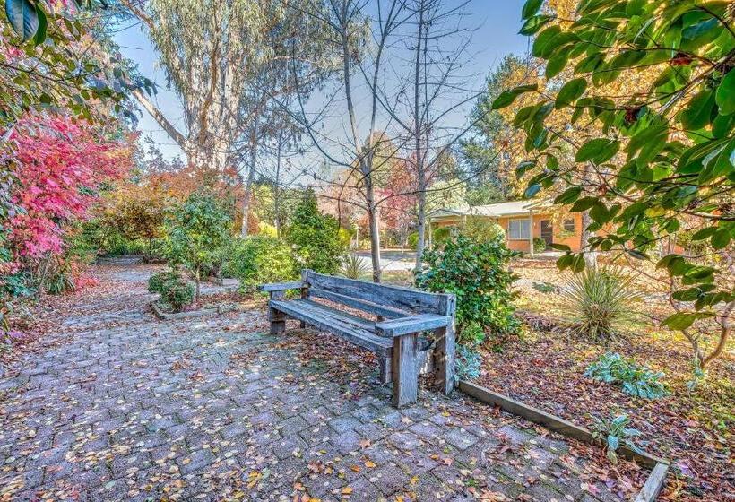 מוטל Viewhill Holiday Units   Bright