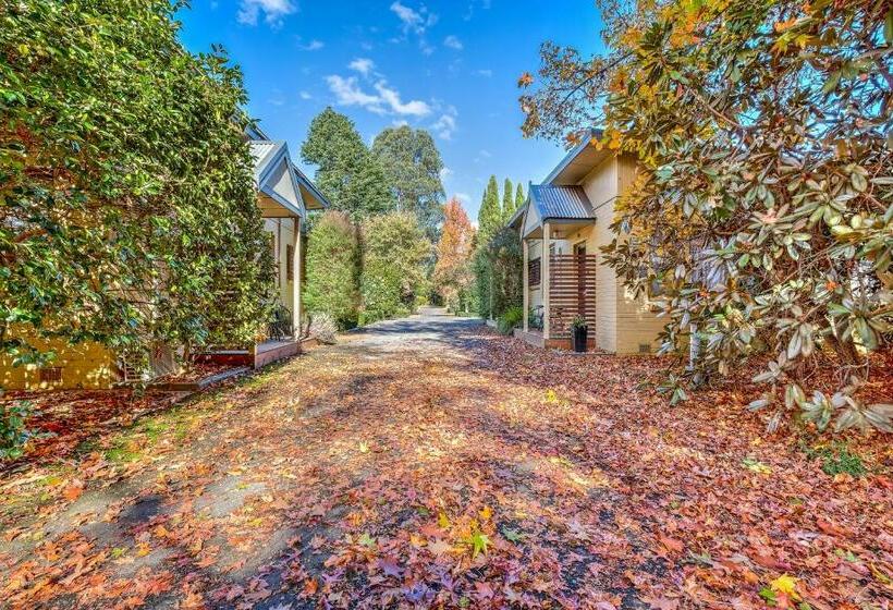 מוטל Viewhill Holiday Units   Bright