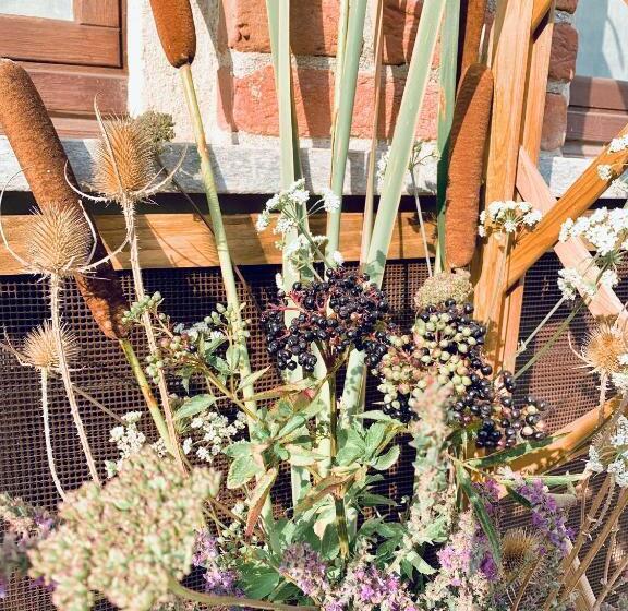 פנסיון Cascina Viaris