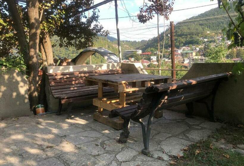 پانسیون Greenland