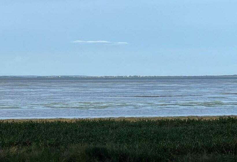 Lakeview House Lilac