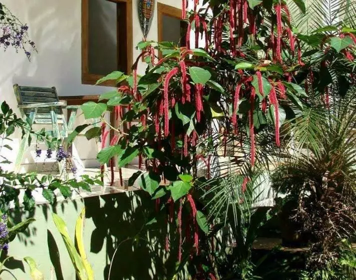 ユースホステル Pousada Villa Da Gama