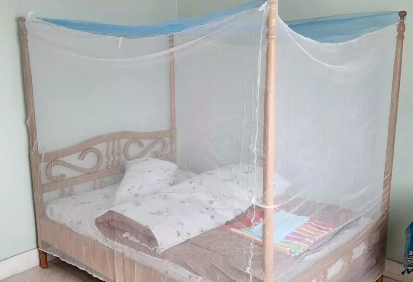 Max Crib