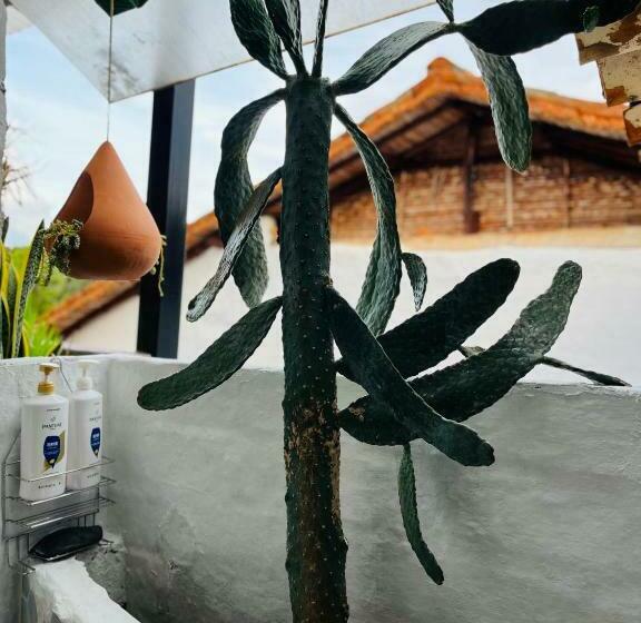 Casa Lolo   Apartamento Privado Tipo Loft Colonial