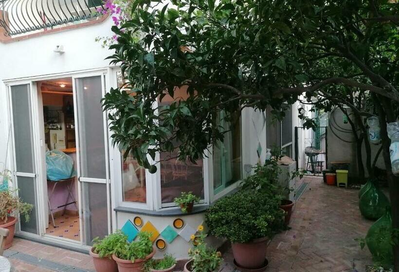 Palmarosa Apartments