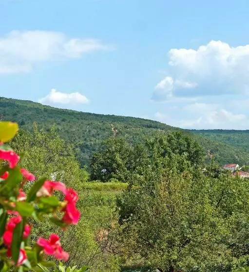 Apartman Vasilj Mi