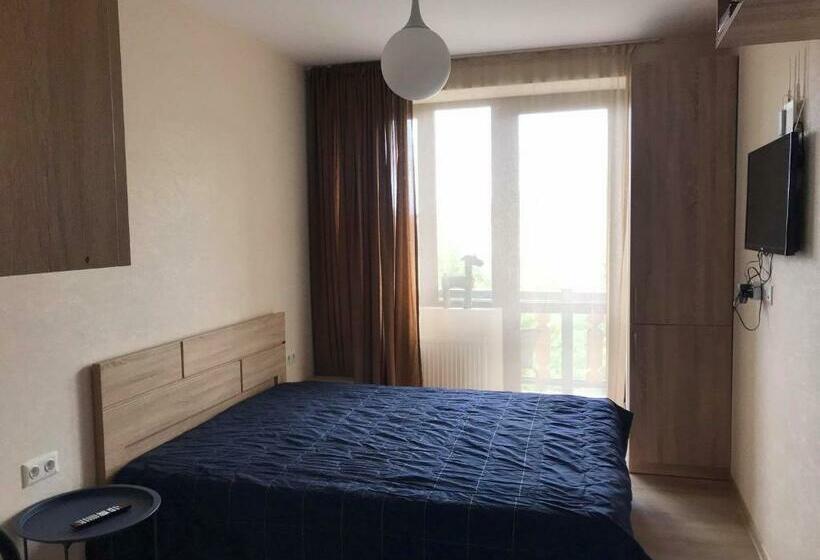 Bakuriani Apartment