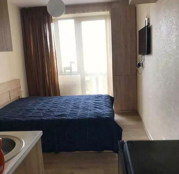 Bakuriani Apartment